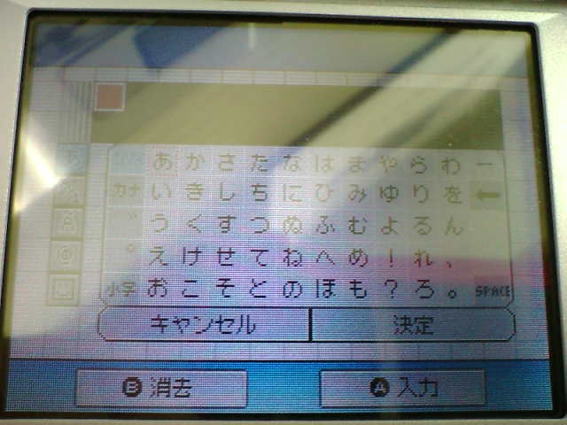 Nintendo DS : photos des menus