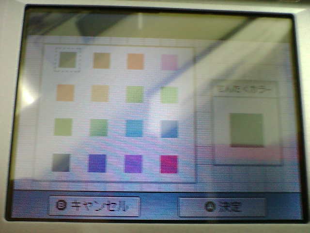 Nintendo DS : photos des menus