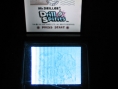 La Nintendo DS sur sa télévision