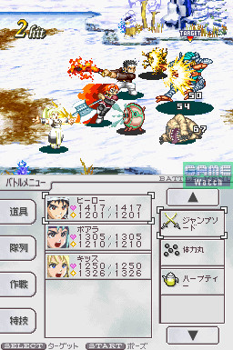Les jeux Nintendo DS en images