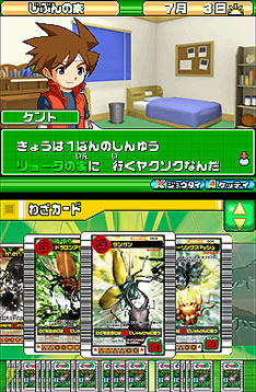 Les jeux Nintendo DS en images