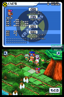 Les jeux Nintendo DS en images