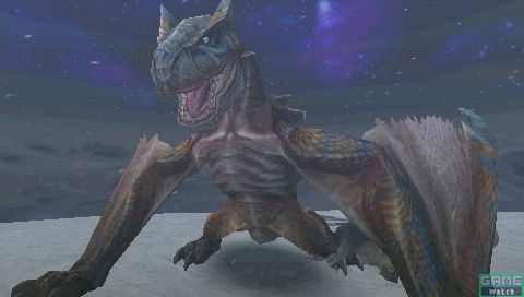 Monster Hunter Portable 2 en images