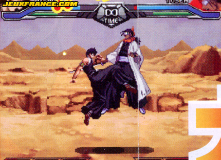 Bleach DS 2nd en images