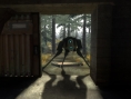 Half-Life 2 fait des petits