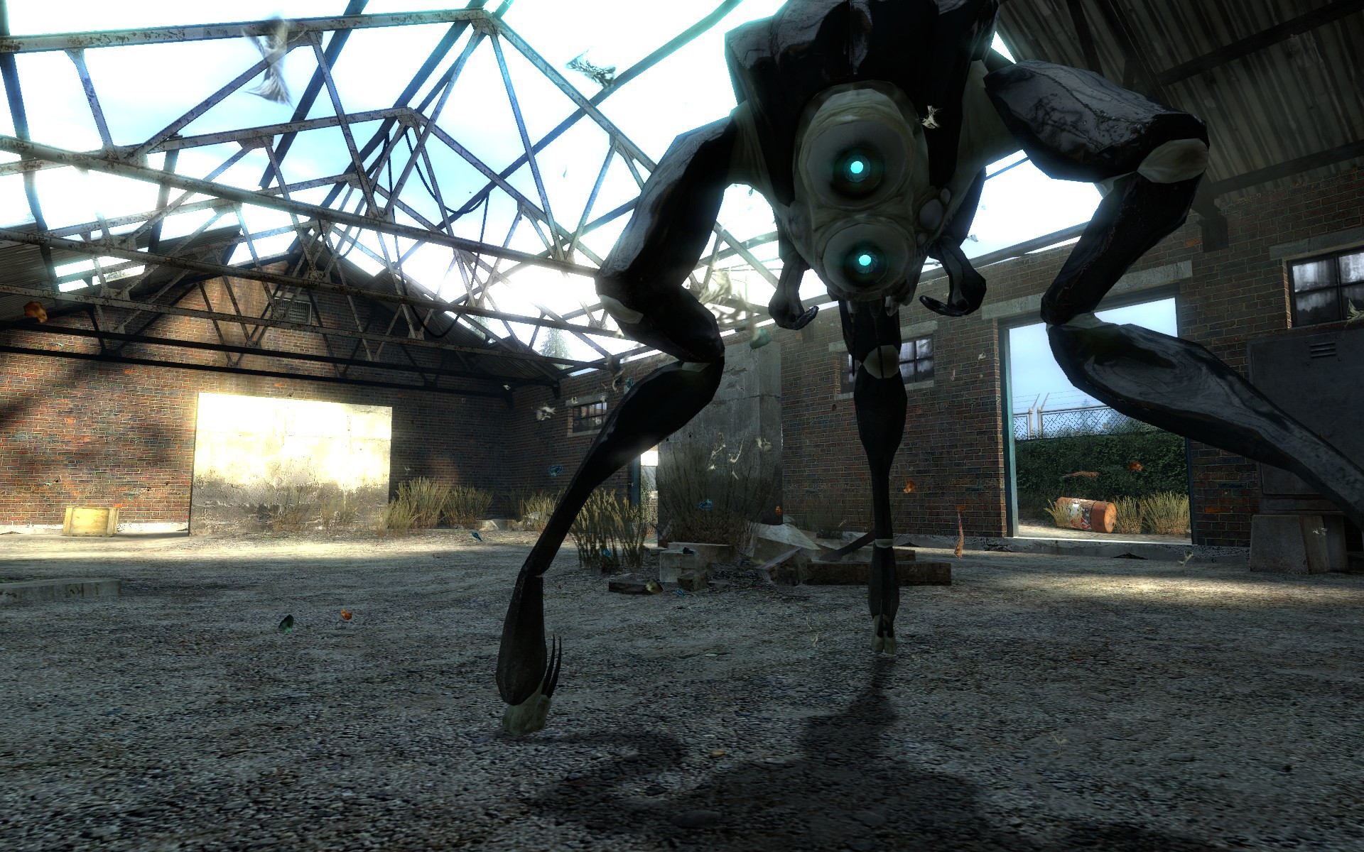 Half-Life 2 : Orange Box prend la pose