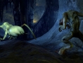 Half-Life 2 : Orange Box prend la pose