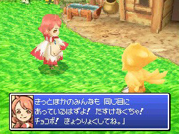 Chocobo DS : plus d'images