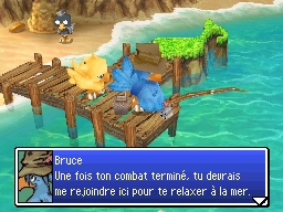 FFF : Chocobo Tales : plus d'images