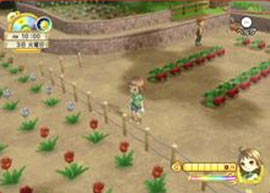 Harvest Moon Wii se cultive