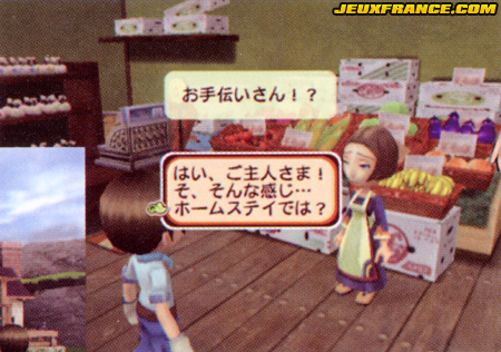 Harvest Moon Wii : la totale