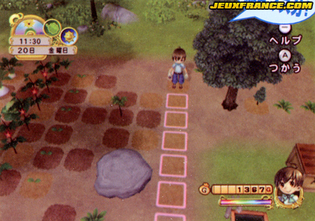 Harvest Moon Wii : la totale