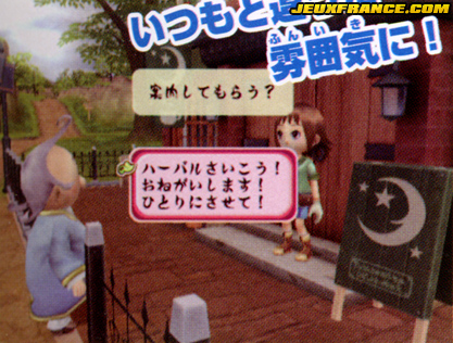 Harvest Moon Wii : la totale