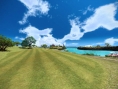 Everybody's Golf 5 jouable en ligne