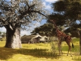 Everybody's Golf 5 jouable en ligne