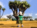 Everybody's Golf 5 jouable en ligne