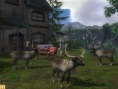 Everybody's Golf 5 se précise