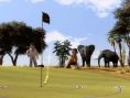 Everybody's Golf 5 en images