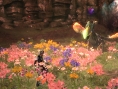 Folks Souls : plus d'images