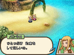 Final Fantasy XII s'illustre sur Nintendo DS