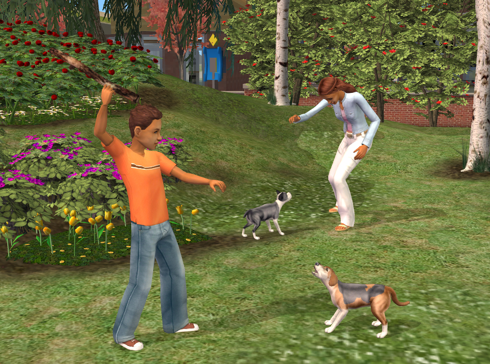 Les Sims 2 Animaux & Cie en détails