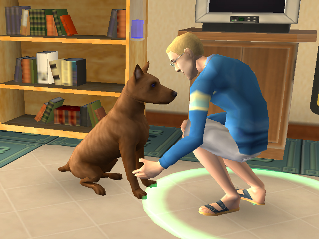 Les Sims 2 Animaux & Cie en détails