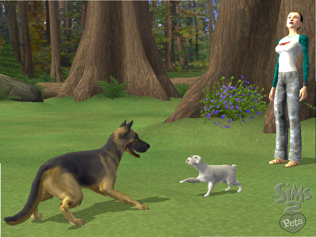 Les Sims 2 Animaux & Cie en détails