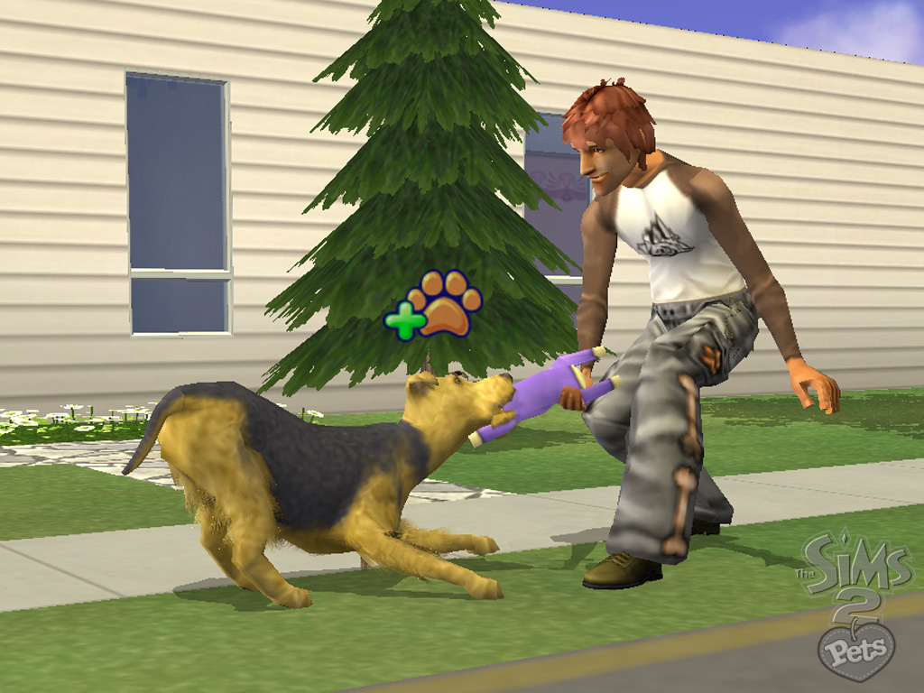 Les Sims 2 Animaux & Cie en détails