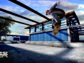 Skate vole la vedette