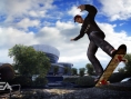 Skate vole la vedette