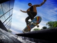 Skate vole la vedette