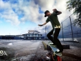Skate vole la vedette