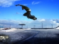 Skate vole la vedette