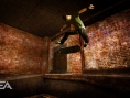 Skate vole la vedette