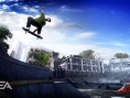 Skate vole la vedette