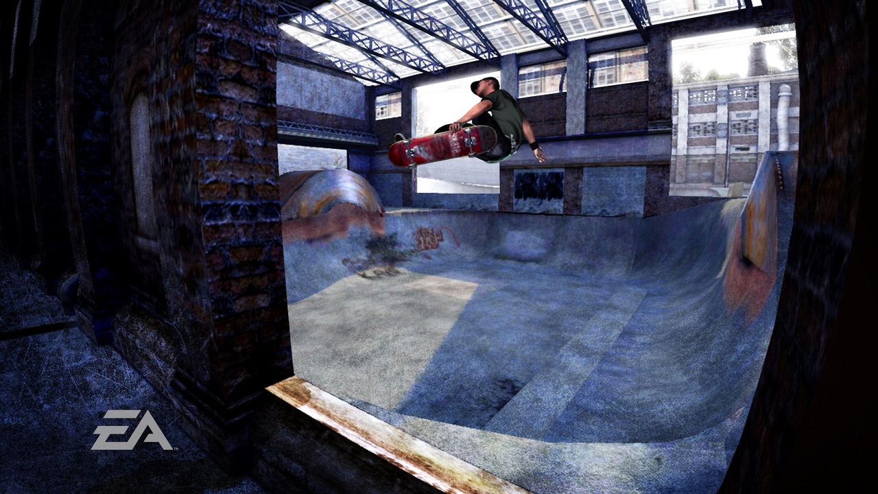 Skate vole la vedette