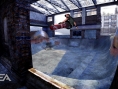 Skate vole la vedette