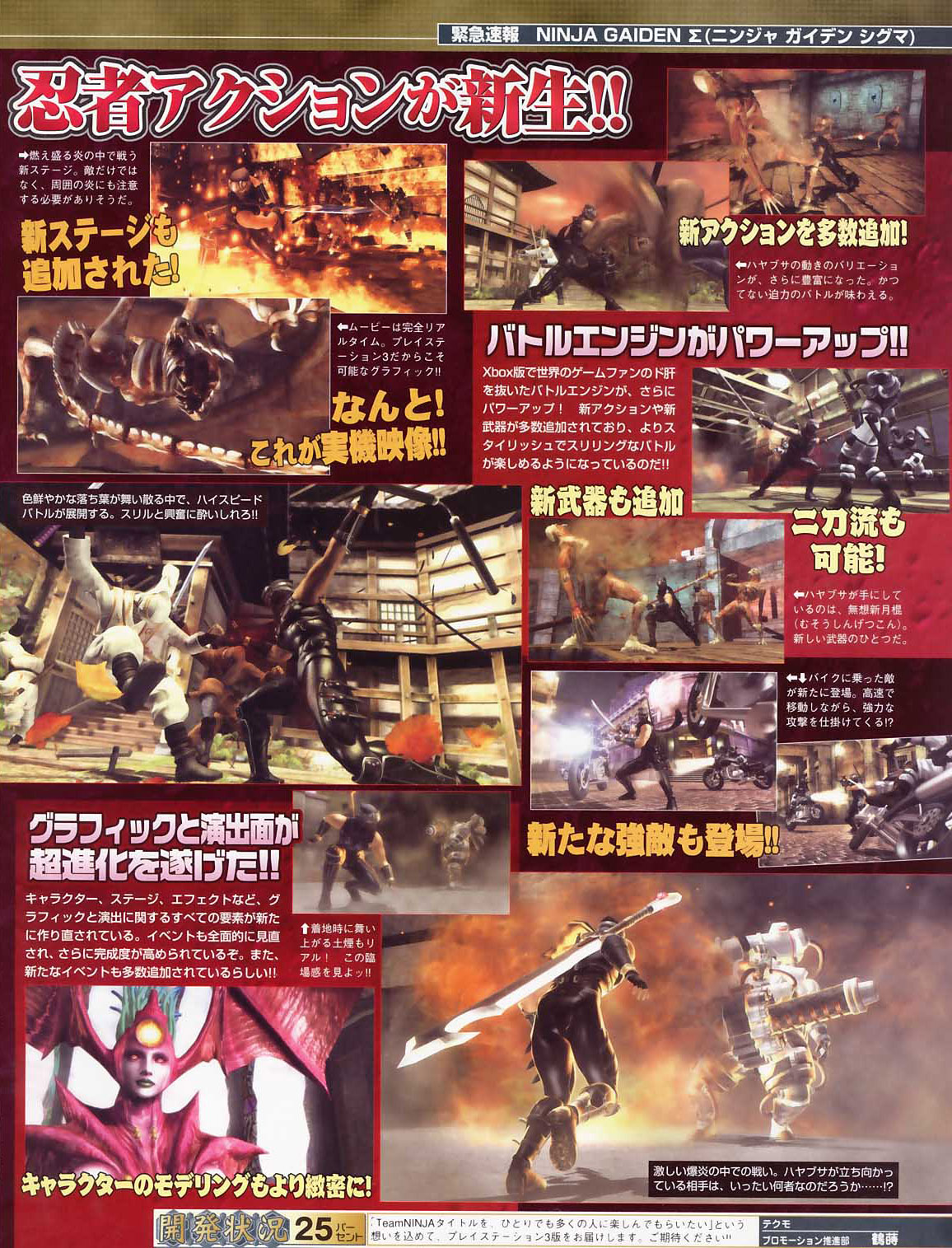 Ninja Gaiden Sigma illustré