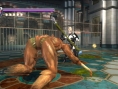 Ninja Gaiden Sigma s'échauffe en images