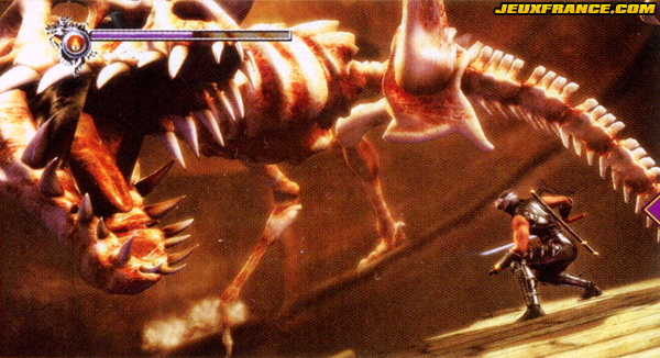 Ninja Gaiden Sigma : plus d'images