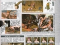 White Knight Story entre en jeu