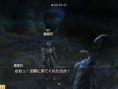 White Knight Story vient se montrer en screenshots