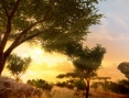 GC : Far Cry 2 entre en jeu