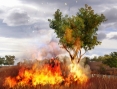 GC : Far Cry 2 entre en jeu
