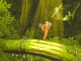 Naruto : Rise of a Ninja en images