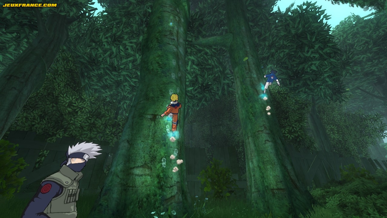 Naruto : Rise of a Ninja se présente