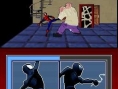 Spider-Man : Battle for NY illustré