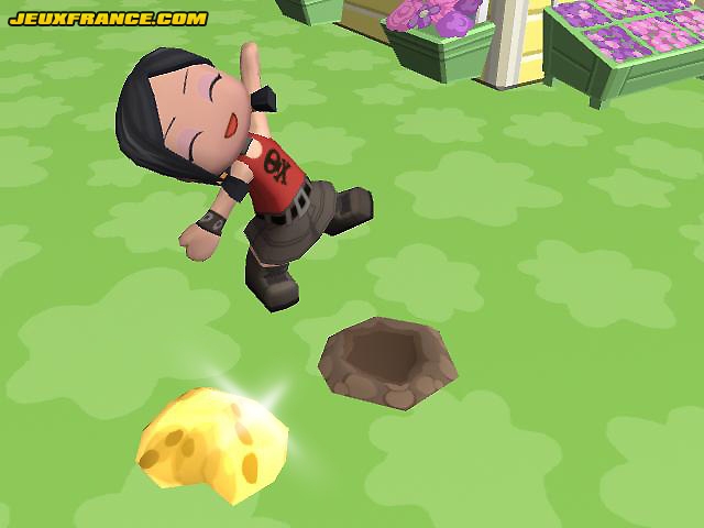 MySims Wii : plus d'images