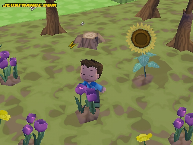 MySims Wii : plus d'images
