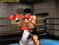 Hajime no Ippo Wii en images